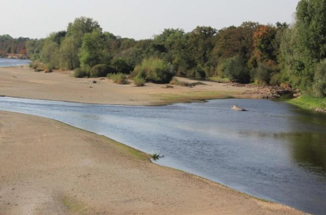 فندق La Chaumiere De L'Eau Sauvage Villeneuve-sur-Allier المظهر الخارجي الصورة